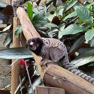 https://aldeia-niura-opy.santa-catarina-brasil.com