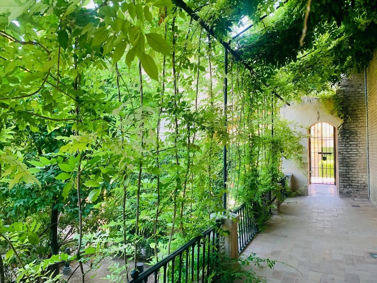 Apartamento Puerta Carmona Seville Apartment